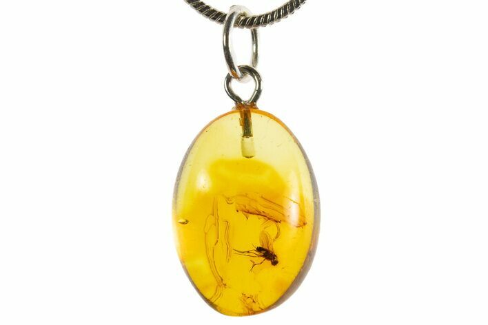 Polished Baltic Amber Pendant (Necklace) - Contains Fly! #339572